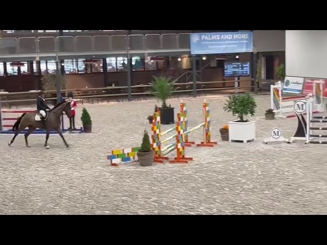 Show video Torino V.