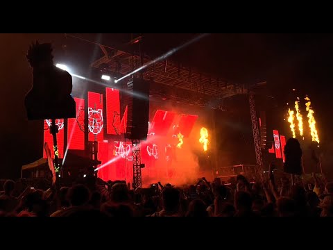 Black Tiger Sex Machine @ Dancefestopia 2022 - Cheatcode (Calcium Remix) + more (DFT 2022 Day 2)