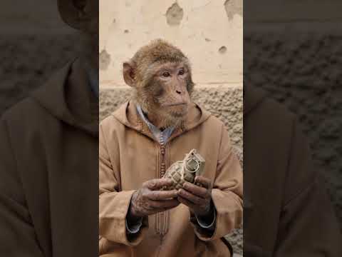 قردوش كيدير الخير 😂😂😂😱😱 #viral #رفيوهات #comedy #اكسبلور #darija #ضحك #reels #قردوش #مضحك #قصص #fyp