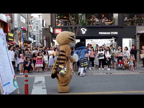 JHKTV]신촌명물고양이 두마리댄스 sin chon special cats dance (two nice  dance)  Hey Sailor (song)