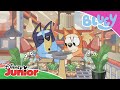 Indkøbskrig Bluey Disney Junior Danmark
