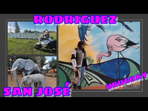 RODRIGUEZ  SAN JOSE URUGUAY 🛵🛵🛵
