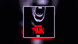 Ace Hood -  Pain (new 2014)