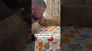 Music video thumbnail preview for Search filters by Chihuahua