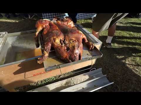 University of Rhode Island Homecoming Pig Roast