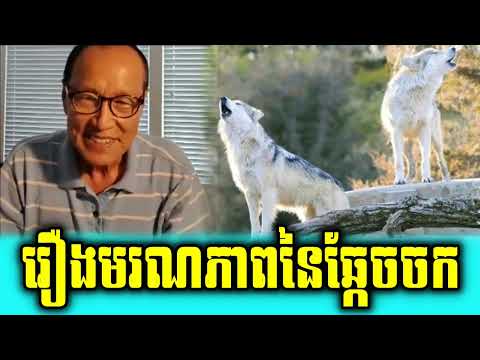 Lok Ta Chea Savuth talks about important Concept for Our Life