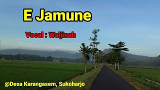 Download lagu E Jamune - Waljinah mp3