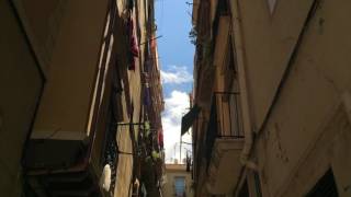 The Ballad of Keenan Milton - Devendra Banhart