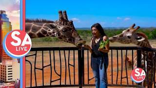Texas Trippin': Inside Longneck Manor where conservation meets lodging