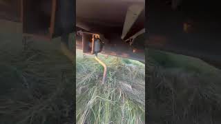 Ημιρυμουλκούμενου μουσαμά Krone SD *715474* προς πώληση - Απεικόνιση 4 | Autoline GR Κουρτίνα πλευρά ημιρυμουλκούμενο Krone SD *715474* | Απεικόνιση 4 - Autoline