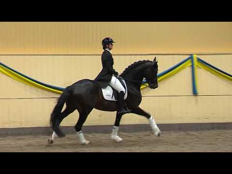 Franklin Flyinge 2019