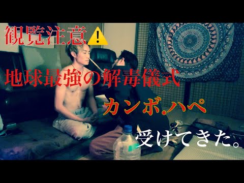 IUCN分類における絶滅の危険性を示す図。