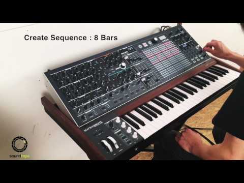 Arturia MatrixBrute #5 | Create Sequence