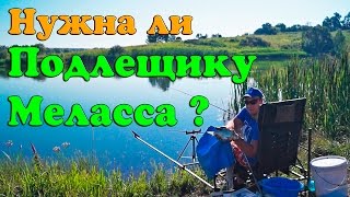 Для чего нужна меласса в прикормке