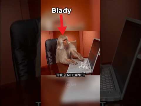 THE ABSOLUTE WORST CAR REPLICAS