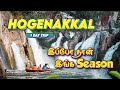 Unexplored Hogenakkal Falls Full Travel Guide Parisal Ride Massage Fish Curry Hidden Spots