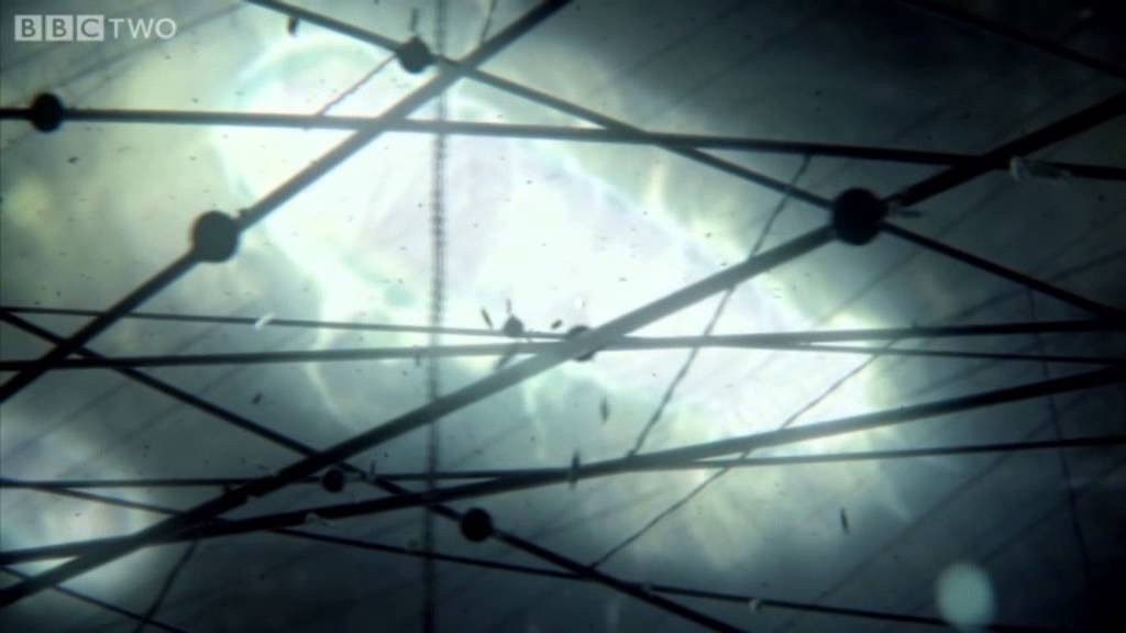 The Cell