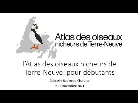 l’Atlas des oiseaux nicheurs de Terre-Neuve: pour débutants