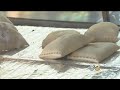 Angry Customer Shatters New York City Restaurant S Front Windows
