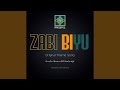 Zabi Biyu