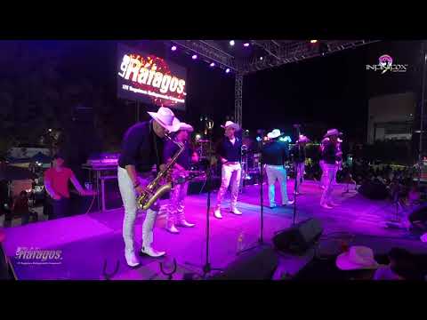 Mi Enemigo El Amor - Los Ráfagos ( 🔴 en vivo )