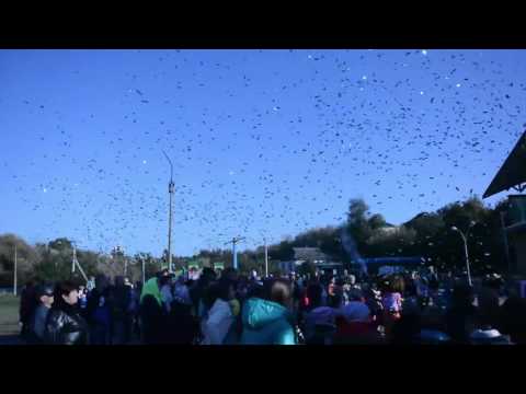 Генератор конфетти 4CLUB CM-3000 Pro