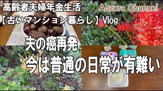 【年金生活】高齢者夫婦 日々の記録Vlog. 夫の癌再発。嵐の前の静けさだとしても、今は普通の日常が有難い /Japanese senior Vlog.