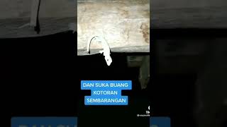 Download lagu SANGAT BERGUNA GUYS mp3 Download lagu SANGAT BERGUNA GUYS mp3