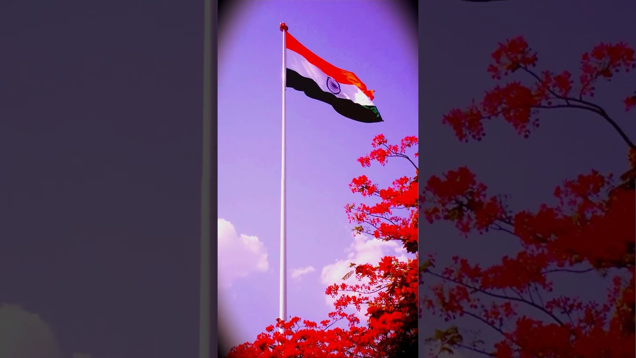 happy republic day||26 January republic day #short #shortvideo #viral video