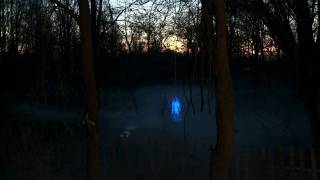 Pacific Theater - Lions