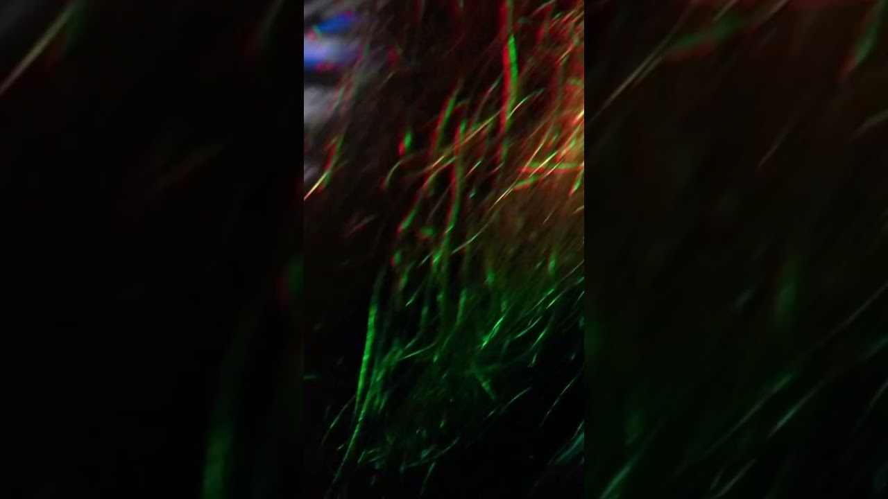 Promotional video thumbnail 1 for Indus Valley Squad