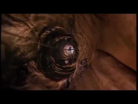 YTP: Wario passes out into Space Jam (not the new legacy)