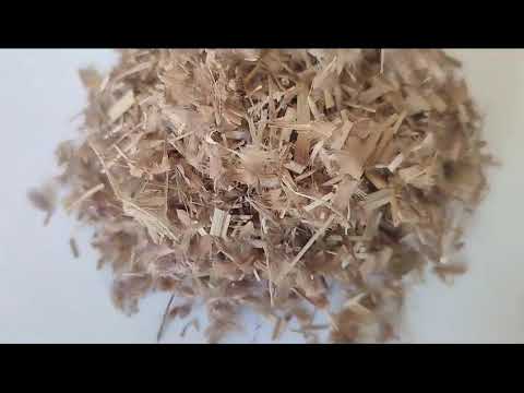 Dinanath grass seed ( pennisetum pedicellatum) for fodder, p...