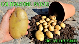 TRUCCHI E SEGRETI PER COLTIVARE PATATE , PATATOES FROM SCRAPS, POMMES, PAPAS