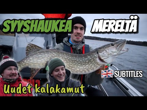 Haukea Kalastamassa Merellä Marraskuussa | Seuraajien kanssa kalassa