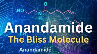 Anandamide: the bliss molecule | Lipid mediator that activates cannabinoid receptors in brain cells