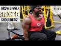 Grow BIGGER & STRONGER Shoulders