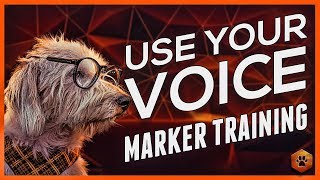 Use Your Voice as Marker Training