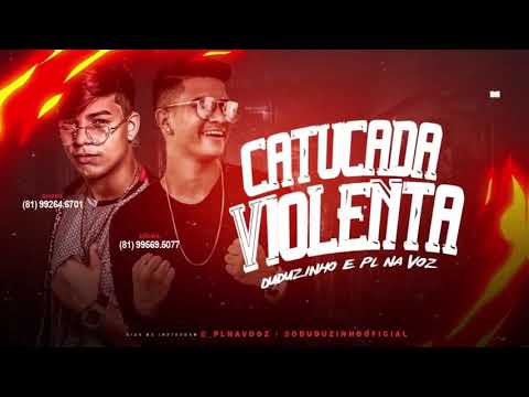 pl na voz duduzinho catucada violenta brega fank