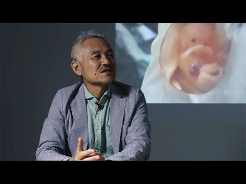 【京都外大】新種ノ外大04｜南博史教授