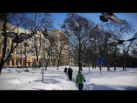Video Thumbnail: Stärkster Schneefall seit 200 Jahren überzieht Moskau und bringt den Alltag durcheinander
