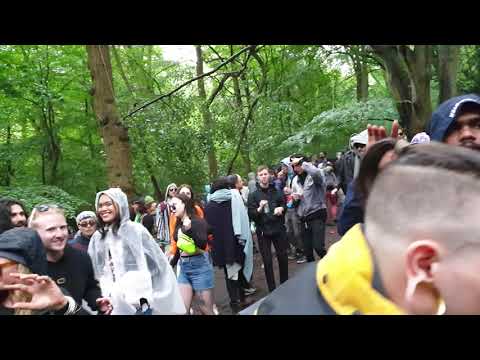 Full Lotus@Boogie Woogie, August 2021