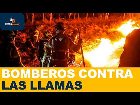 Incendios forestales no dan tregua: Tolima y Cundinamarca enfrentan nueva alerta |  ArribaBogotá