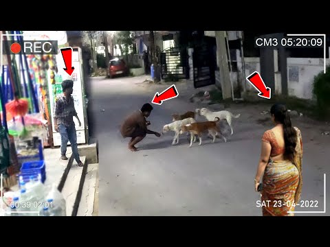 WHAT DOES HE DO FOR STREET DOGS? 👀😱 | Pet Lover | Humanity | Kindness | Social Awareness | Eye Focus