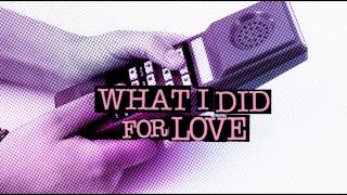 David Guetta feat. Emeli Sande - What I Did For Love (Vinai Remix)