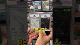 💎 PSA Pokémon Card Showcase | Reshiram, Zekrom & Other Rare Graded Cards!