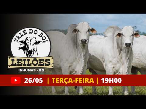 VALE DO BOI LEILOES - INHUMAS GO  - LEILAO VIRTUAL E PRESENCIAL -  26 DE  MAIO 2026