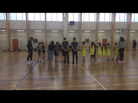RADOBASKET - BTDSEbasket u11