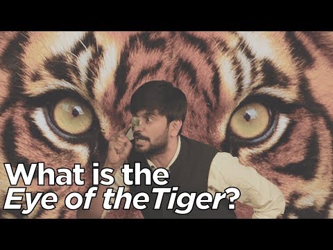 download lagu mp3 mp4 Eye Of The Tiger Song Meaning, download lagu Eye Of The Tiger Song Meaning gratis, unduh video klip Eye Of The Tiger Song Meaning