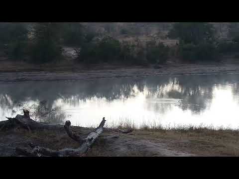 Djuma: Sights and sounds-Pt:2 - 06:17 - 08/01/20